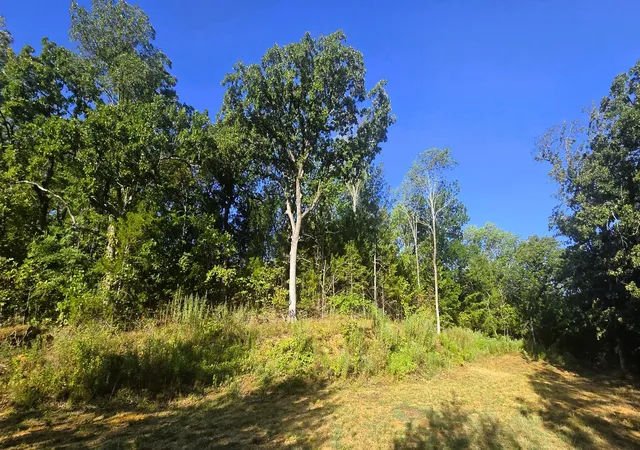 Photo 3 of Land for sale at 4273 Sawmill Rd, Caddo, OK 74729 | MLS# 2632792 | Listing updated on 2026-09-03
