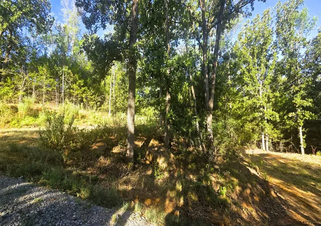 Photo 4 of Land for sale at 4273 Sawmill Rd, Caddo, OK 74729 | MLS# 2632792 | Listing updated on 2026-09-03