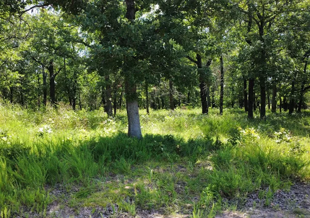 Photo 4 of Land for sale at 29993 S Qualls Rd, Park Hill, OK 74451 | MLS# 2632796 | Listing updated on 2026-09-24