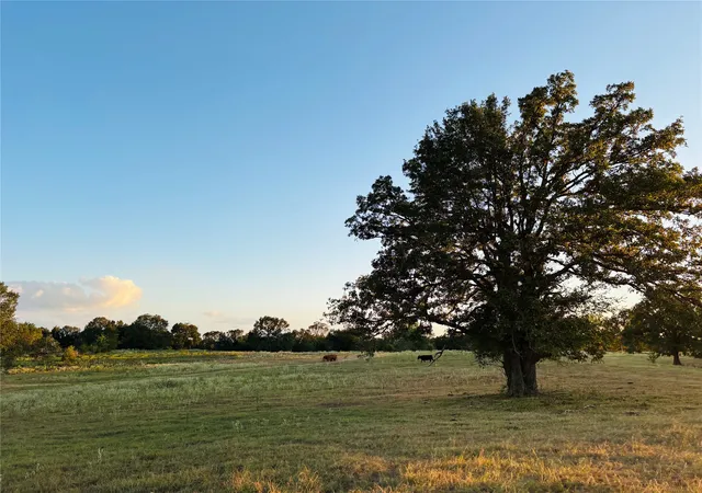 Photo 1 of Sale Pending at 166 N 4084 Road, Soper, OK 74759 | MLS# 2632810 | Listing updated on 2026-09-11