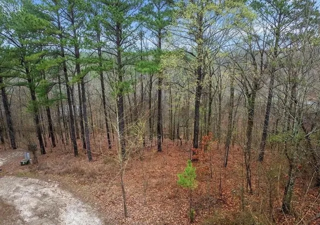 Photo 2 of Land for sale at 217 Hochapine Trl, Broken Bow, OK 74728 | MLS# 2632831 | Listing updated on 2026-09-04