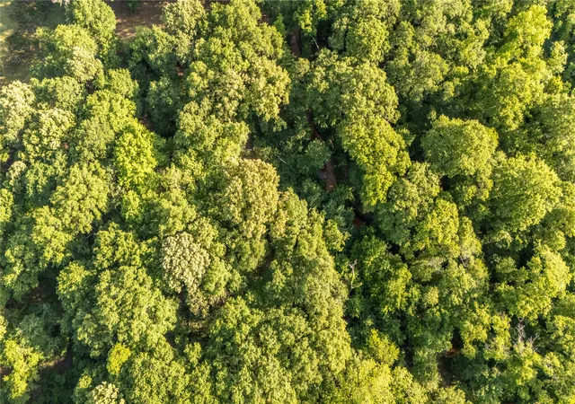 Photo 3 of Land for sale at 0000 E Nightingale Rd, Atoka, OK 74525 | MLS# 2632974 | Listing updated on 2026-09-04