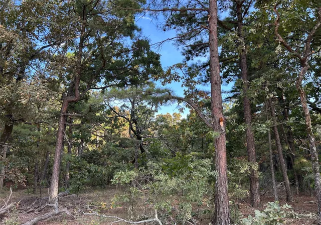 Photo 3 of Land for sale at Highway 2, Wilburton, OK 74578 | MLS# 2633213 | Listing updated on 2026-09-08