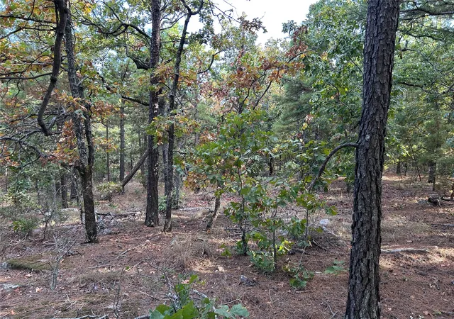Photo 4 of Land for sale at Highway 2, Wilburton, OK 74578 | MLS# 2633213 | Listing updated on 2026-09-08