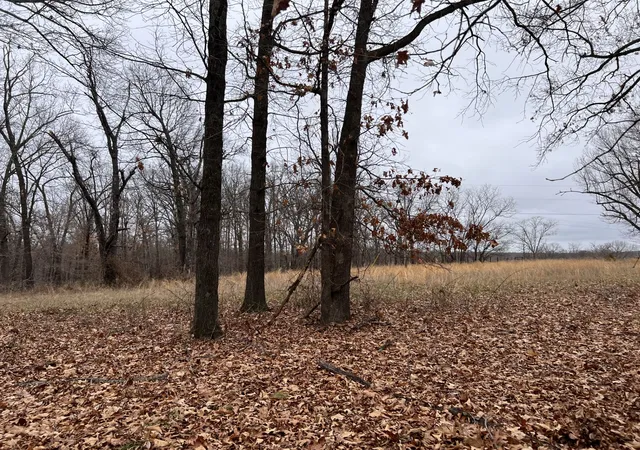 Photo 3 of Land for sale at 340, Jay, OK 74346 | MLS# 2633443 | Listing updated on 2026-09-09