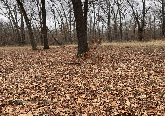 Photo 3 of Land for sale at 340, Jay, OK 74346 | MLS# 2633443 | Listing updated on 2026-09-09