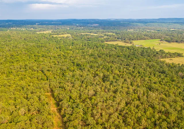 Photo 3 of Land for sale at 20 E 804 Road, Welling, OK 74471 | MLS# 2633570 | Listing updated on 2026-09-10