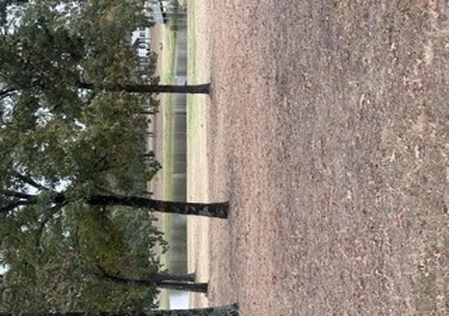 Photo 3 of Land for sale at 18303 E Wilderness Rd, Cookson, OK 74427 | MLS# 2633593 | Listing updated on 2026-09-13