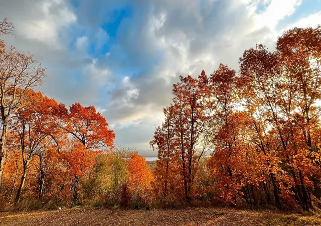Photo 2 of Land for sale at Lookout Rd, Stigler, OK 74462 | MLS# 2633686 | Listing updated on 2026-09-11