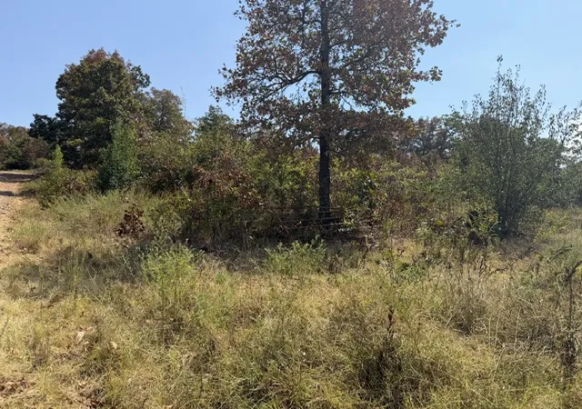 Photo 4 of Land for sale at South 4597, Sallisaw, OK 74955 | MLS# 2633834 | Listing updated on 2026-09-13