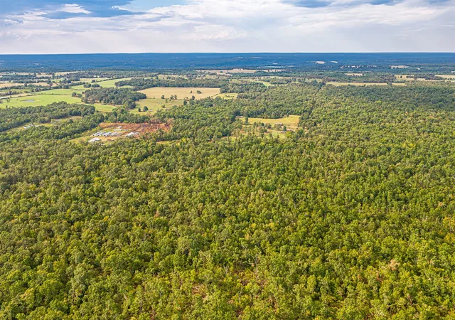 Photo 4 of Land for sale at 10 E 804 Road, Welling, OK 74471 | MLS# 2633880 | Listing updated on 2026-09-14