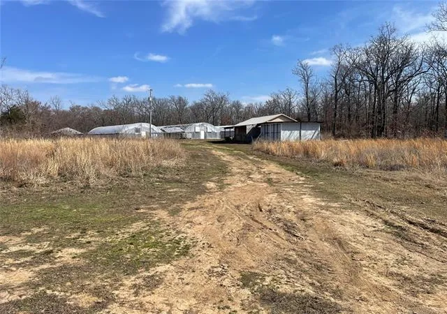 Photo 4 of Land for sale at 32350 559 Road, Cookson, OK 74427 | MLS# 2633907 | Listing updated on 2026-09-14