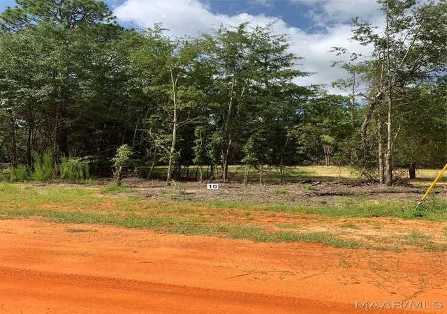 Photo 1 of Land for sale at Lot 10 Deer Loop, Camden, AL 36726 | MLS# 507181 | Listing updated on 2026-09-10