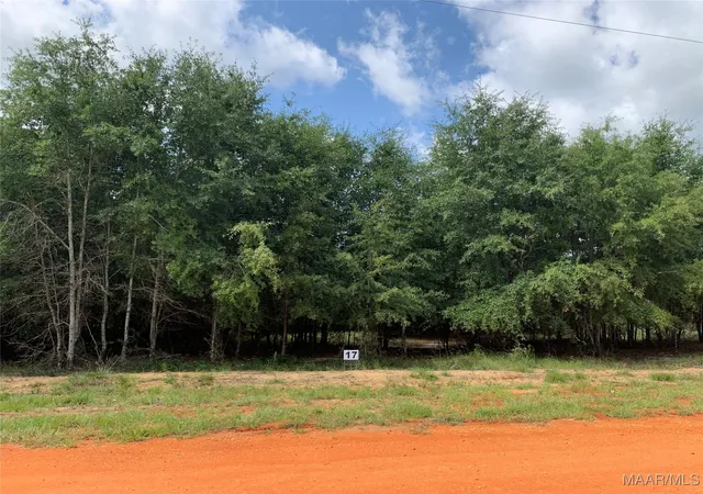 Photo 1 of Land for sale at Lot 17 Deer Loop, Camden, AL 36726 | MLS# 507182 | Listing updated on 2026-09-10