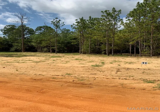 Photo 1 of Land for sale at Lot 11 Deer Loop, Camden, AL 36726 | MLS# 521617 | Listing updated on 2026-09-10