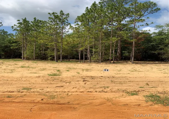 Photo 2 of Land for sale at Lot 11 Deer Loop, Camden, AL 36726 | MLS# 521617 | Listing updated on 2026-09-10