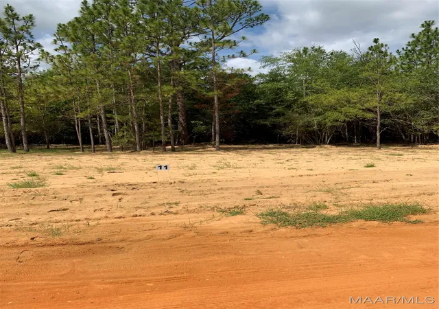 Photo 3 of Land for sale at Lot 11 Deer Loop, Camden, AL 36726 | MLS# 521617 | Listing updated on 2026-09-10