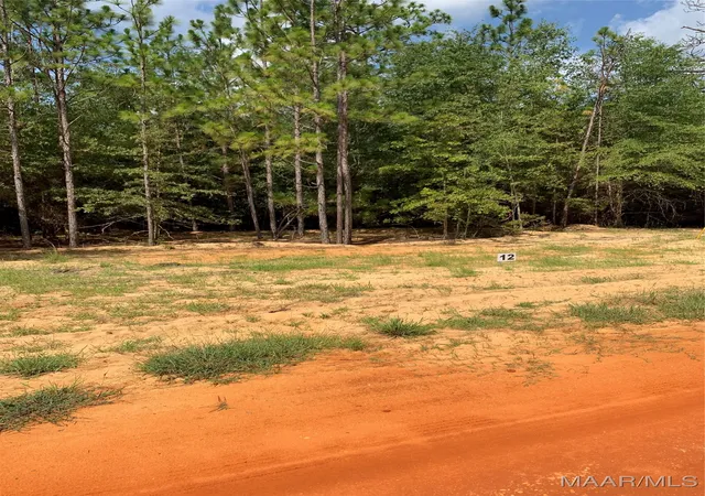 Photo 2 of Land for sale at Lot 12 Deer Loop, Camden, AL 36726 | MLS# 521618 | Listing updated on 2026-09-10