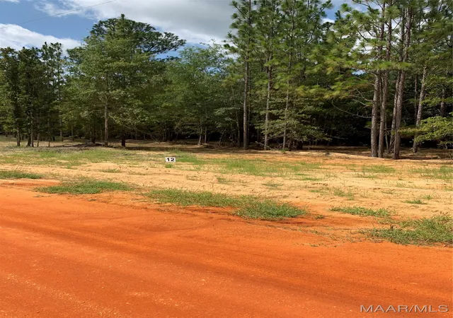 Photo 3 of Land for sale at Lot 12 Deer Loop, Camden, AL 36726 | MLS# 521618 | Listing updated on 2026-09-10