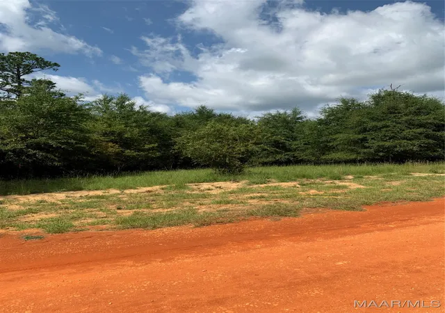 Photo 1 of Land for sale at Lot 16 Deer Loop, Camden, AL 36726 | MLS# 521621 | Listing updated on 2026-09-10