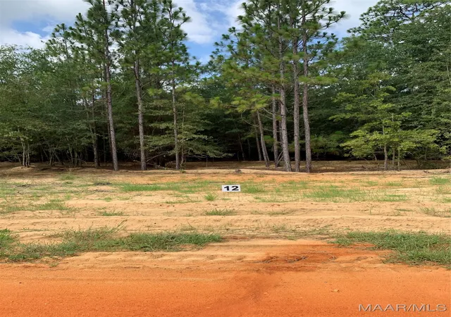 Photo 2 of Land for sale at Lot 16 Deer Loop, Camden, AL 36726 | MLS# 521621 | Listing updated on 2026-09-10