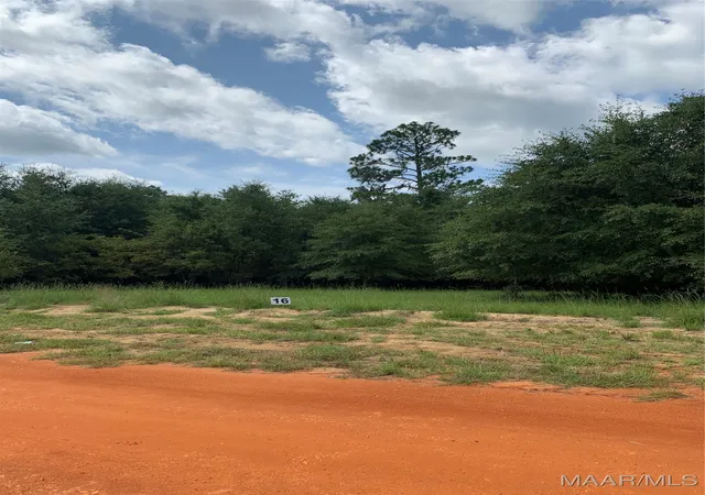 Photo 3 of Land for sale at Lot 16 Deer Loop, Camden, AL 36726 | MLS# 521621 | Listing updated on 2026-09-10