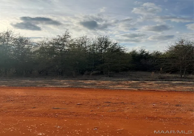 Photo 1 of Land for sale at Lot 21 Deer Loop, Camden, AL 36726 | MLS# 531878 | Listing updated on 2026-09-10