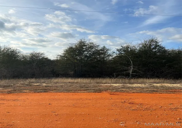 Photo 1 of Land for sale at Lot 22 Deer Loop, Camden, AL 36726 | MLS# 531879 | Listing updated on 2026-09-10