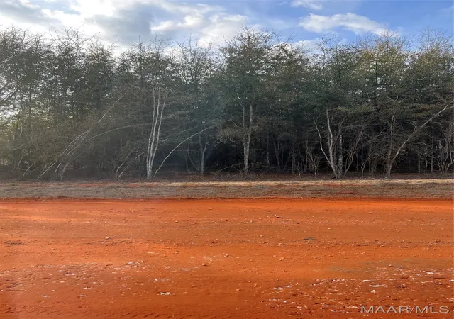 Photo 1 of Land for sale at Lot 24 Deer Loop, Camden, AL 36726 | MLS# 531881 | Listing updated on 2026-09-10