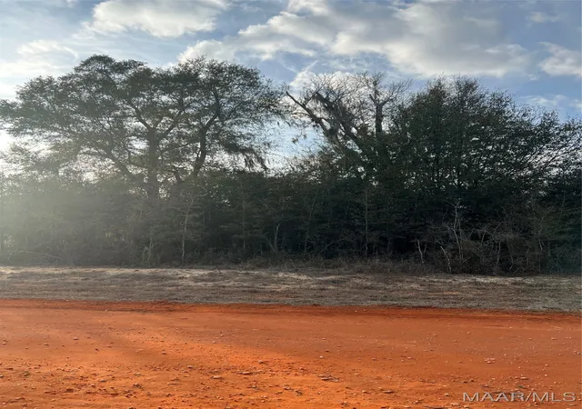 Photo 1 of Land for sale at Lot 35 Deer Loop, Camden, AL 36726 | MLS# 531882 | Listing updated on 2026-09-10