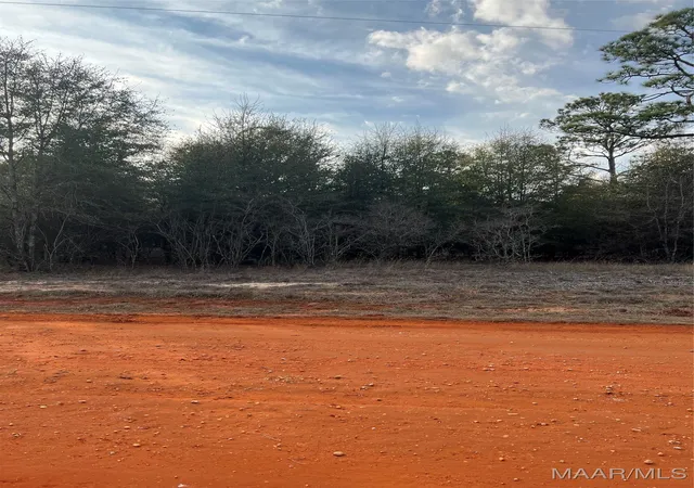 Photo 1 of Land for sale at Lot 36 Deer Loop, Camden, AL 36726 | MLS# 531883 | Listing updated on 2026-09-10