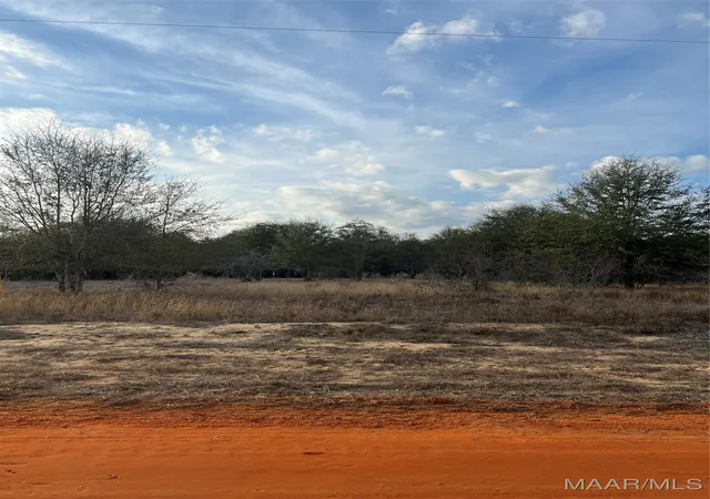 Photo 1 of Land for sale at Lot 41 Deer Loop, Camden, AL 36726 | MLS# 531884 | Listing updated on 2026-09-10