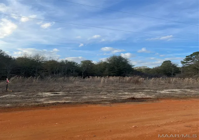 Photo 1 of Land for sale at Lot 45 Deer Loop, Camden, AL 36726 | MLS# 531888 | Listing updated on 2026-09-10