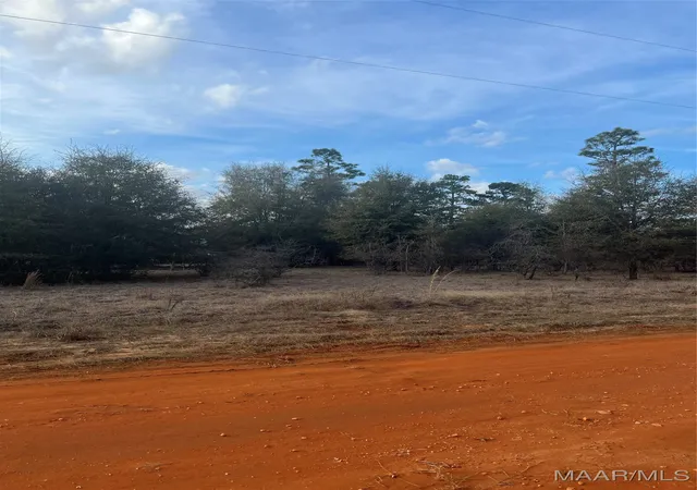 Photo 1 of Land for sale at Lot 49 Deer Loop, Camden, AL 36726 | MLS# 531891 | Listing updated on 2026-09-10