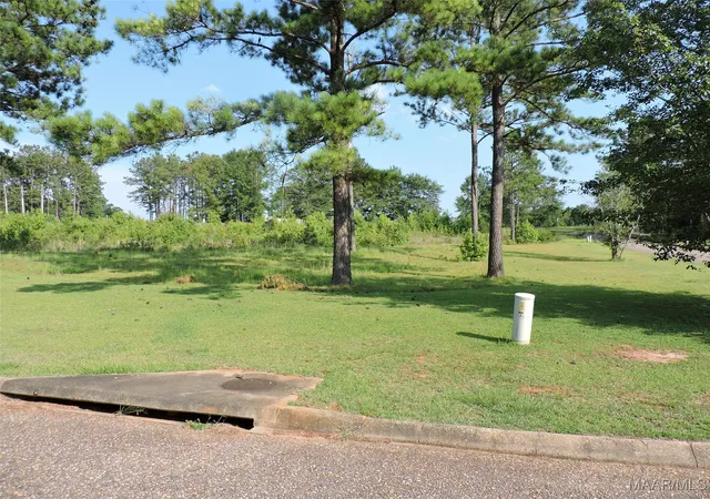 Photo 1 of Land for sale at Lot G1 Longleaf Ln, Greenville, AL 36037 | MLS# 541593 | Listing updated on 2026-09-04