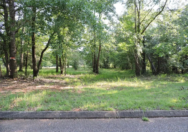 Photo 1 of Land for sale at Lot 7b White Oak Way, Greenville, AL 36037 | MLS# 541647 | Listing updated on 2026-09-04
