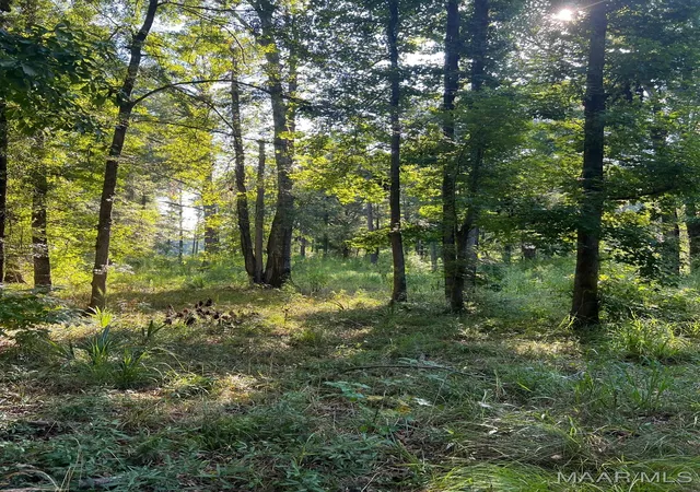 Photo 1 of Land for sale at 1506 Barganier Rd, Cecil, AL 36013 | MLS# 543783 | Listing updated on 2026-09-05