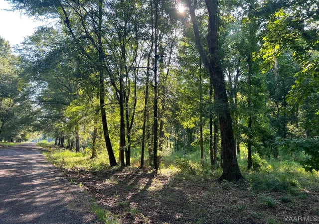 Photo 2 of Land for sale at 1506 Barganier Rd, Cecil, AL 36013 | MLS# 543783 | Listing updated on 2026-09-05