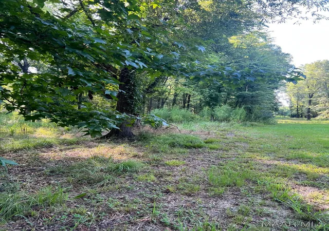 Photo 3 of Land for sale at 1506 Barganier Rd, Cecil, AL 36013 | MLS# 543783 | Listing updated on 2026-09-05