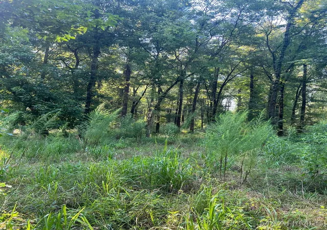 Photo 4 of Land for sale at 1506 Barganier Rd, Cecil, AL 36013 | MLS# 543783 | Listing updated on 2026-09-05