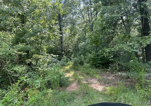 Photo 1 of Land for sale at 362 Byrdway Dr, Lowndesboro, AL 36752 | MLS# 561568 | Listing updated on 2026-09-10