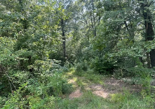 Photo 2 of Land for sale at 362 Byrdway Dr, Lowndesboro, AL 36752 | MLS# 561568 | Listing updated on 2026-09-10