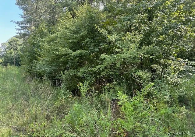 Photo 3 of Land for sale at 362 Byrdway Dr, Lowndesboro, AL 36752 | MLS# 561568 | Listing updated on 2026-09-10