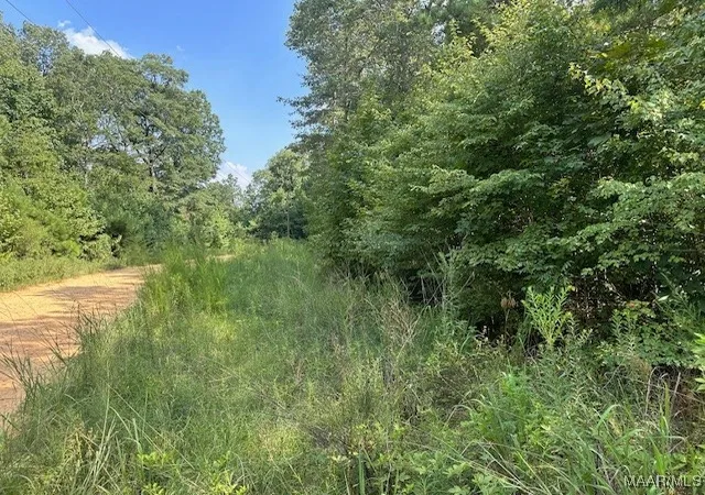 Photo 4 of Land for sale at 362 Byrdway Dr, Lowndesboro, AL 36752 | MLS# 561568 | Listing updated on 2026-09-10