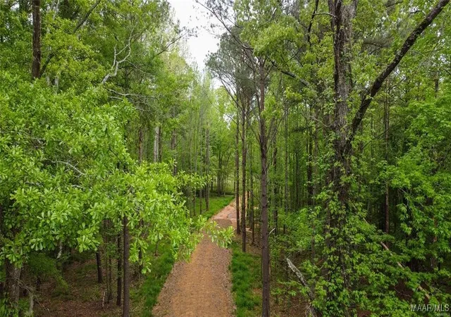 Photo 1 of Land for sale at 0 Pugh Rd, Mathews, AL 36052 | MLS# 563813 | Listing updated on 2026-08-29