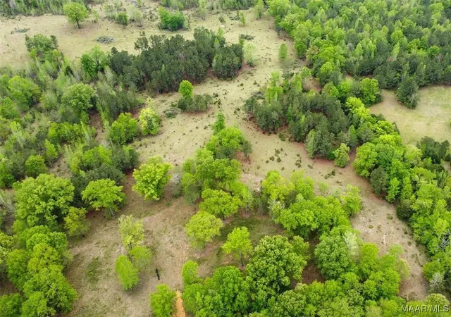 Photo 2 of Land for sale at 0 Pugh Rd, Mathews, AL 36052 | MLS# 563813 | Listing updated on 2026-08-29
