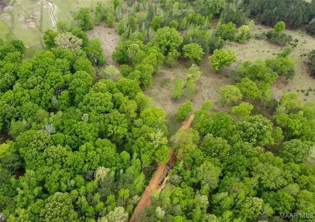 Photo 3 of Land for sale at 0 Pugh Rd, Mathews, AL 36052 | MLS# 563813 | Listing updated on 2026-08-29