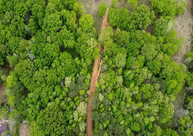 Photo 3 of Land for sale at 0 Pugh Rd, Mathews, AL 36052 | MLS# 563813 | Listing updated on 2026-08-29