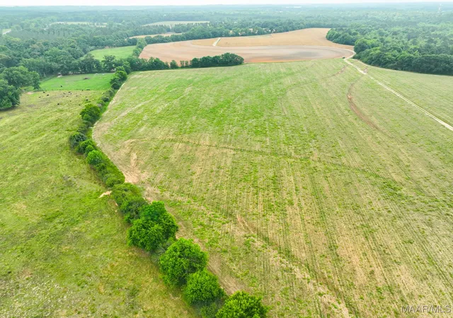 Photo 1 of Land for sale at 2833 Omussee Rd, Dothan, AL 36303 | MLS# 566432 | Listing updated on 2026-09-05