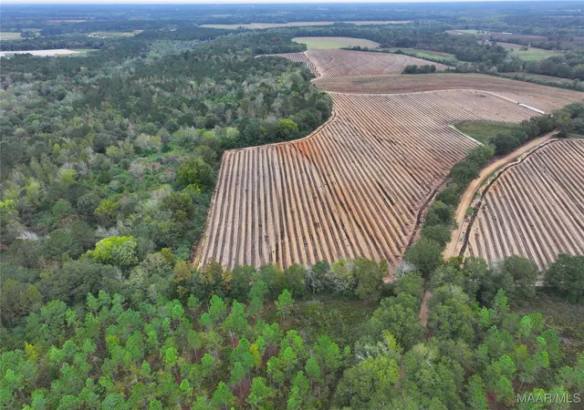 Photo 2 of Land for sale at 2833 Omussee Rd, Dothan, AL 36303 | MLS# 566432 | Listing updated on 2026-09-05